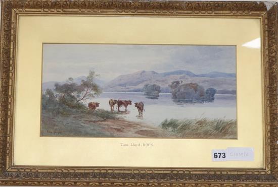 Tom LLoyd, watercolour, Cattle watering, signed 18 x 37cm